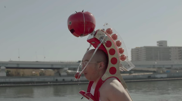 Tomato Feeder