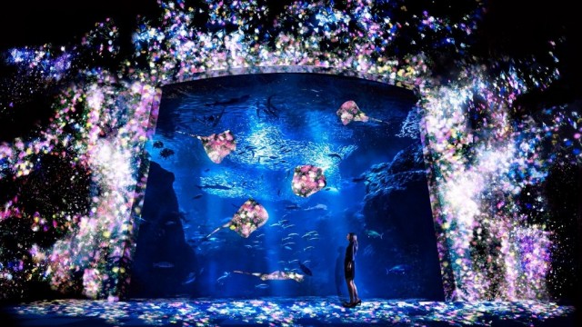 Flowers-and-Fish_main