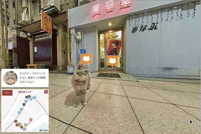 japanese-cat-map
