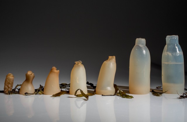 Water bottle created from algae