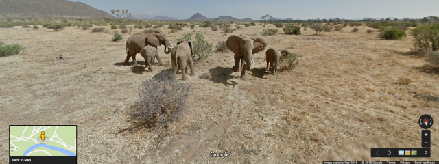virtual safari through google street view