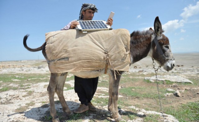 turkish shepherds always connected