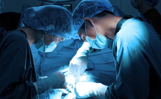 synthetic canine to save dog lives
