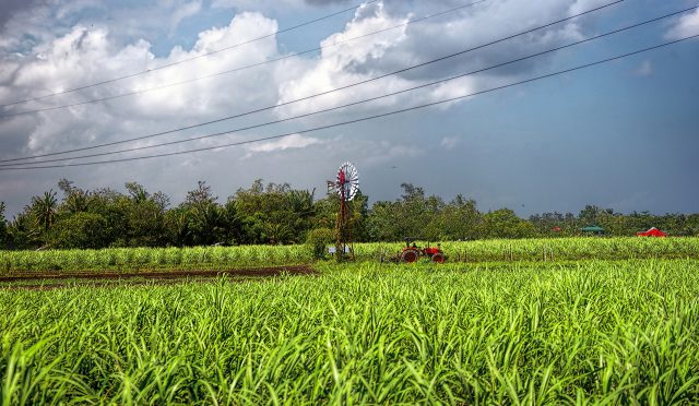 Agriculture-Pollution