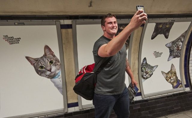 Cats Take Over London Underground