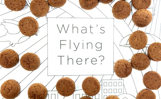 Get 50% off in our web shop on What's Flying There? until December 5th.