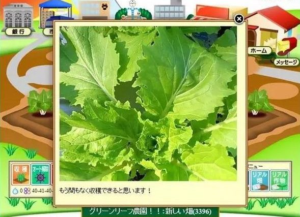 real_life_farmville