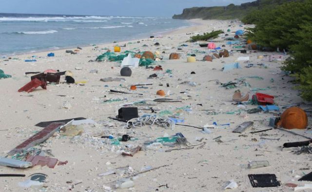 Polluted Beach