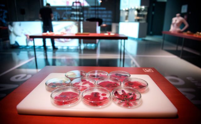 Future Food Design Awards