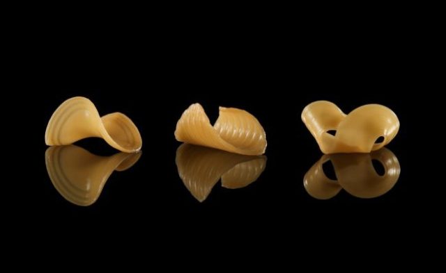 Transformative Appetite computer generated pastathat is 2d printed and unfolds while being cooked
