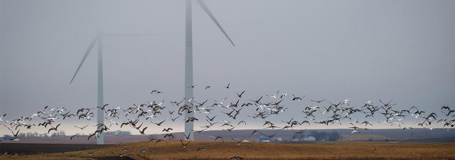 wind turbines