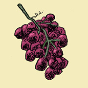 Vino speciale 2020