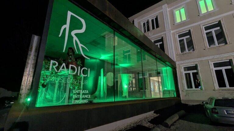 Immagine: radici
