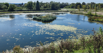 European Garden Award, primo premio per il Parco della Pace