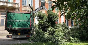Un grande ramo si schianta nel cortile della scuola Zanella prima dell’apertura delle attività: nessun danno a persone e cose