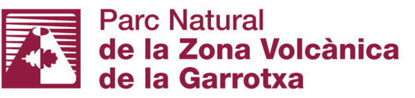 Draft Garcia 134616837-image1.png