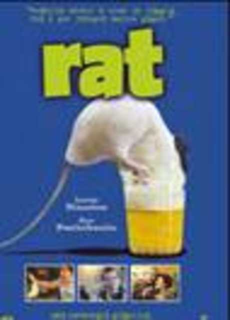 Rat