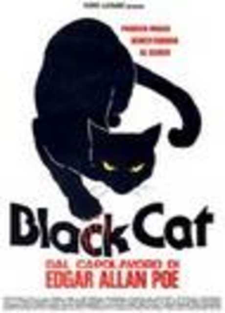 Black Cat (Gatto nero)