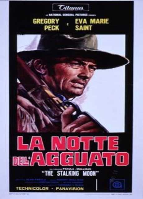 La notte dell'agguato