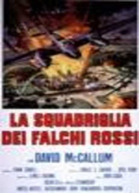 La squadriglia dei falchi rossi