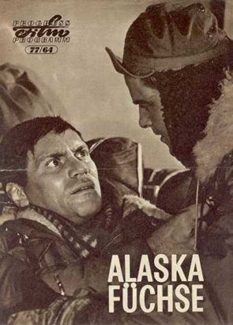 Alaskafüchse