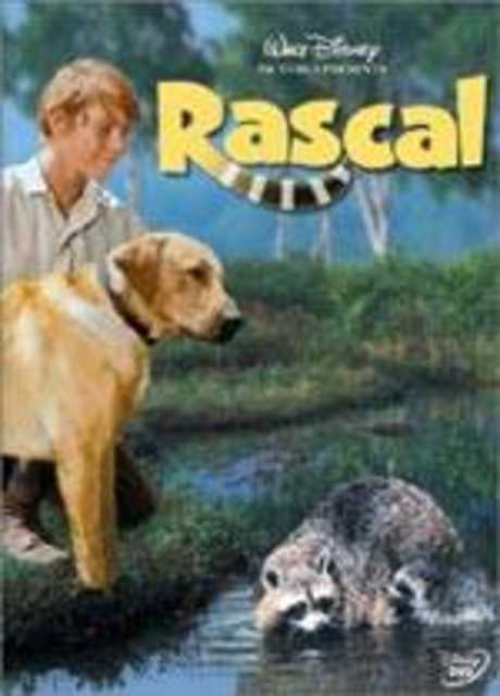 Rascal, l'orsetto lavatore