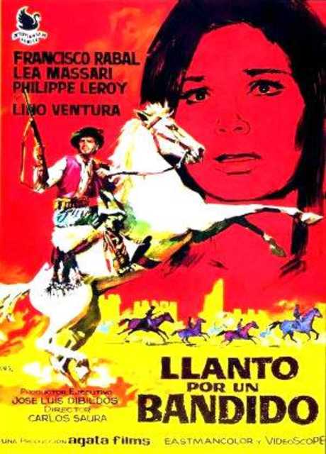 I cavalieri della vendetta