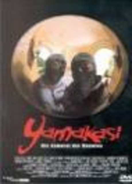 Yamakasi - I nuovi samurai