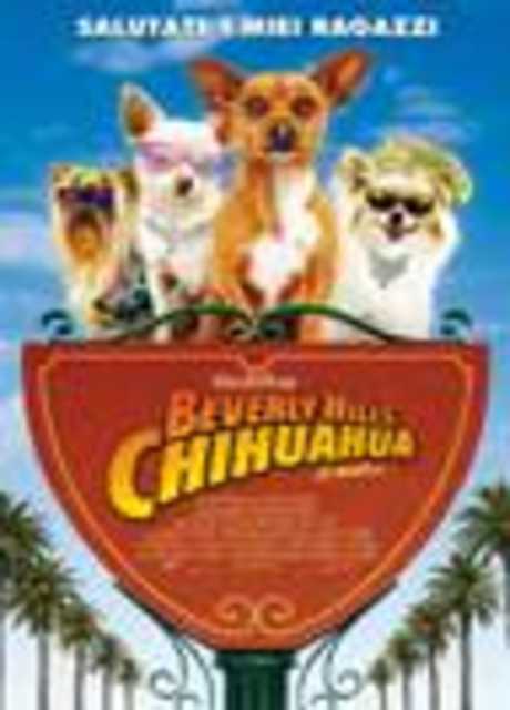 Beverly Hills Chihuahua