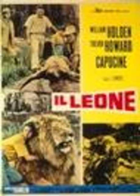 Il leone