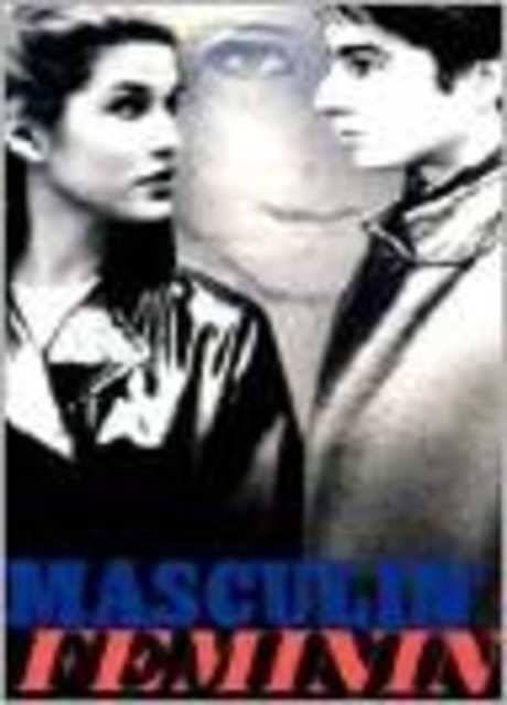 Il maschio e la femmina