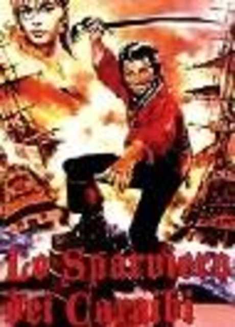 Lo sparviero dei Caraibi