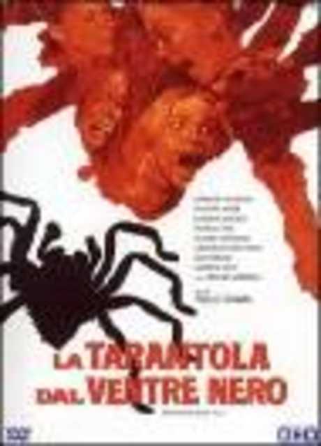 La tarantola dal ventre nero