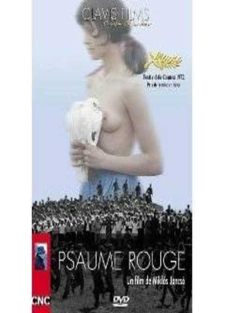 Salmo rosso