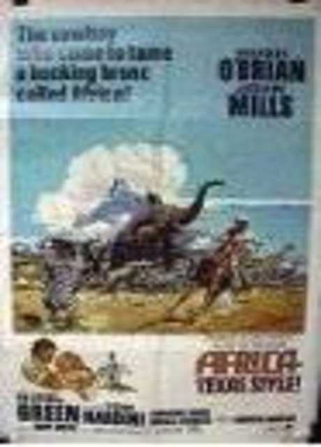 Cowboy in Africa