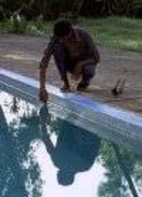 The Pool