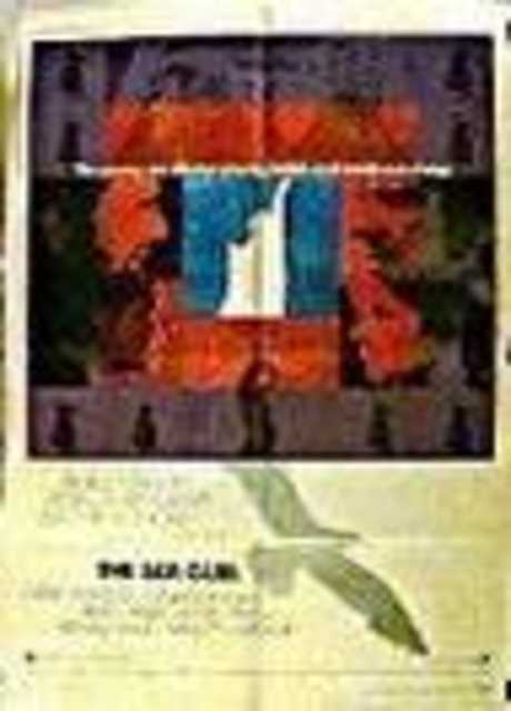 Il gabbiano