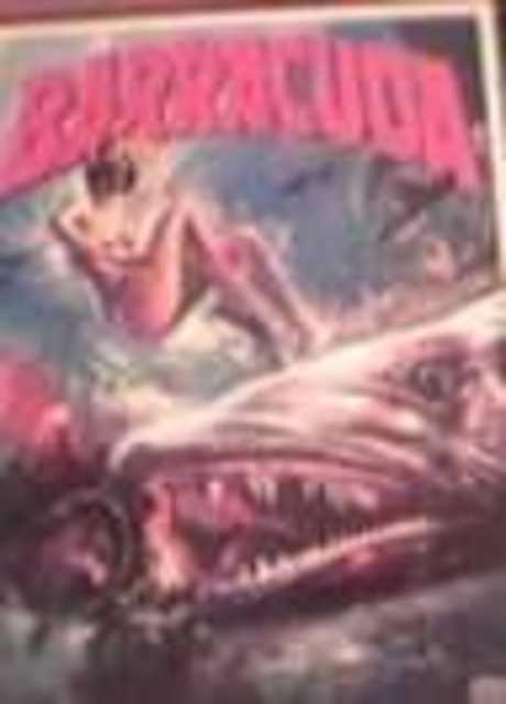 Barracuda