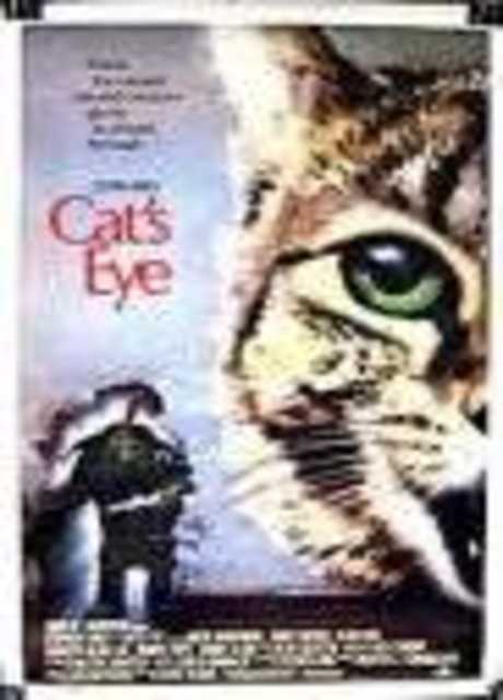 L'occhio del gatto