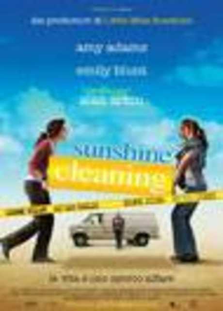 Sunshine Cleaning