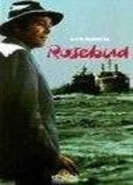 Operazione Rosebud