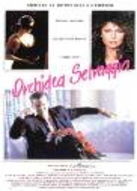 Orchidea selvaggia