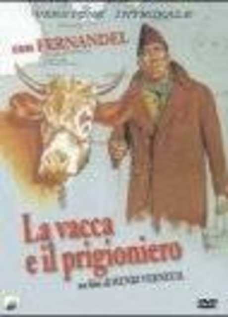 La vacca e il prigioniero