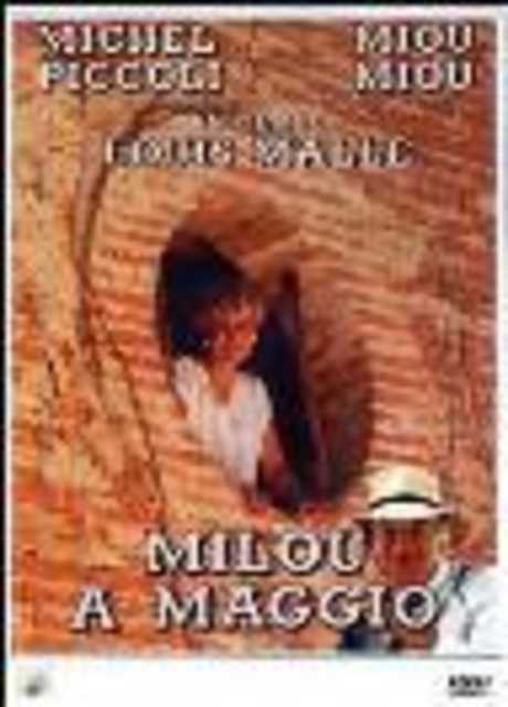 Milou a maggio