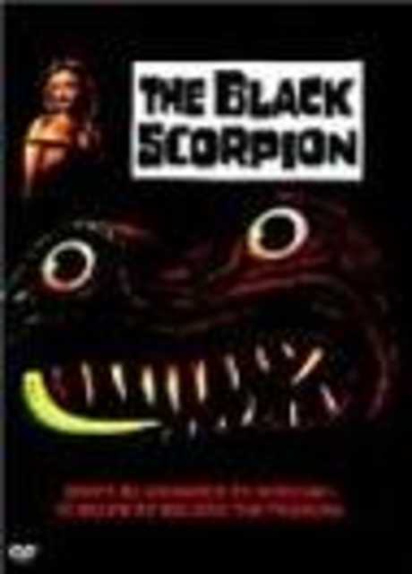Lo Scorpione Nero