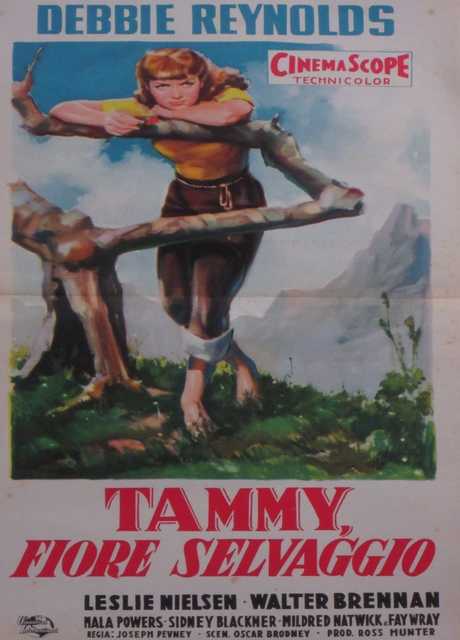 Tammy fiore selvaggio