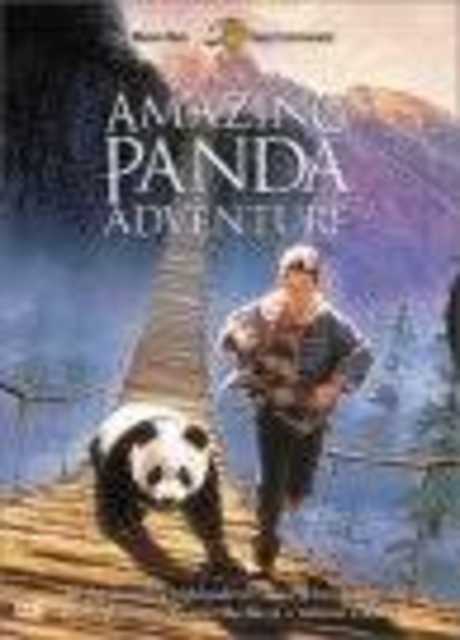Il piccolo panda