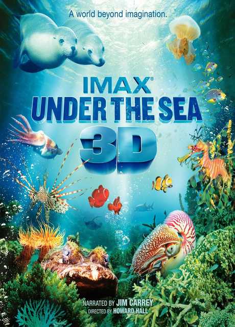 Under the Sea 3D