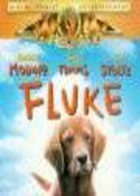 Fluke