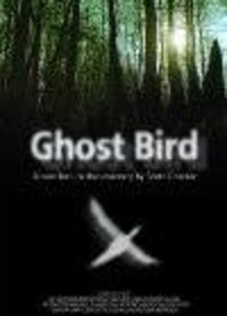 Ghost Bird